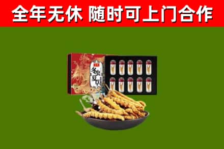 天元区回收冬虫夏草价格